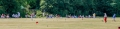 Action on the North Lawns