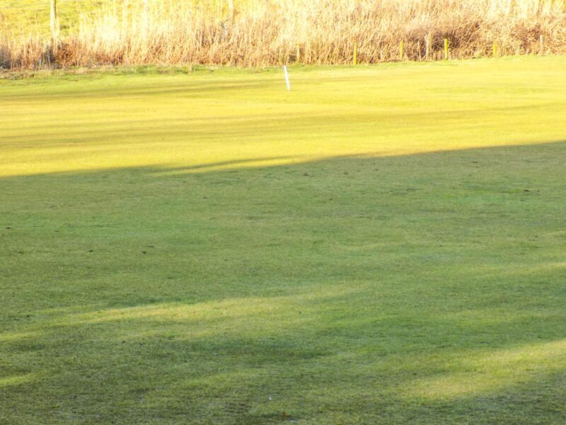 2021-Crake-6629-scaled